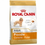 Royal Canin Poodle Adult